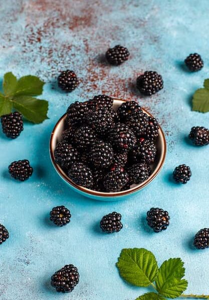 Boysenberry